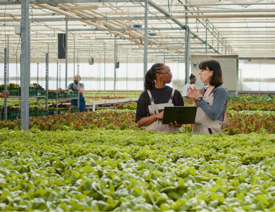 agriculture_r_&_d_sector_qlc_ agriculture_r_&_d_sector_qlc_