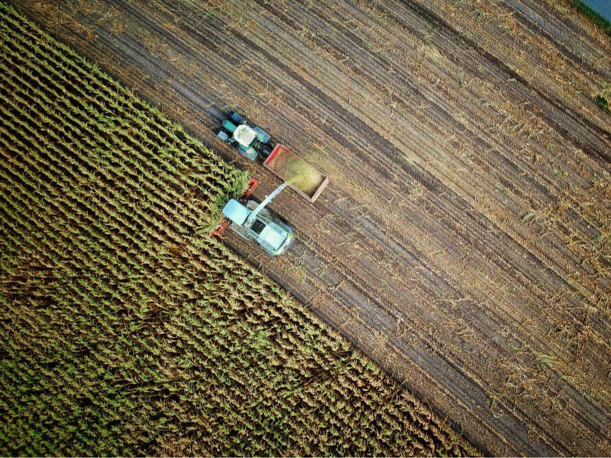 agriculture_r_&_d_sector_qlc- agriculture_r_&_d_sector_qlc-